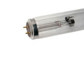 Philips Lighting 360164 TUV30T8 (G30T8) Philips 30W 36in TUV T8 Germicidal Fluorescent Tube